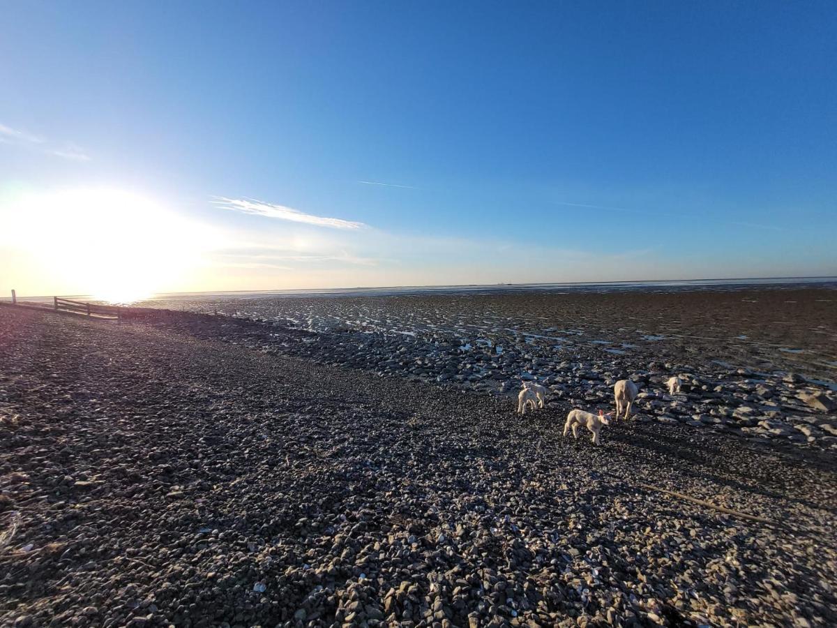 Wierums Huske Aan De Waddenzee Unesco Werelderfgoed Exterior photo